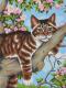 Paintsworks Learn to Paint 9" x 12"- Lazy Cat