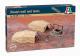 Italeri 1:72 - Desert WellAnd Tents