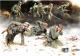 Masterbox 1:35 - German Panzergrenadiers (7 Figs)