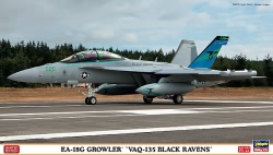 Hasegawa 1:72 - EA-18G Growler VAQ-135 Black Ravens